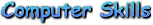 Computer Skills
